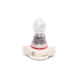 Bulb 12V 24W PG20 / 7...