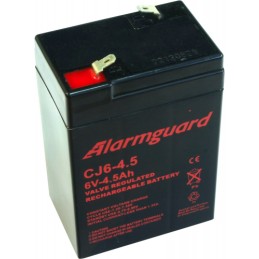 Akumulátor Alarmguard 6V,...