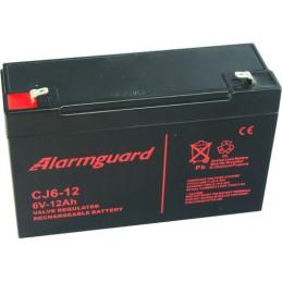 Akumulátor Alarmguard 6V,...