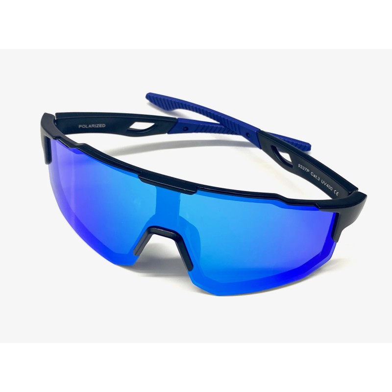 VISION POLARIZED glasses