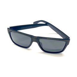 VISION POLARIZED glasses