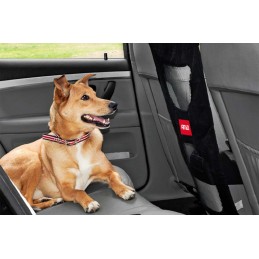 Barrier for a dog in the car