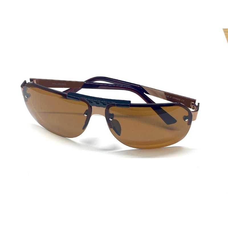 VISION POLARIZED glasses