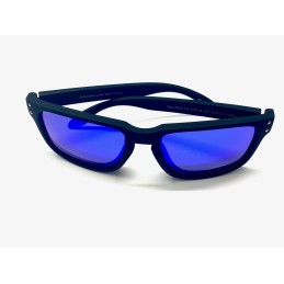 VISION POLARIZED glasses