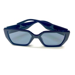 VISION POLARIZED glasses