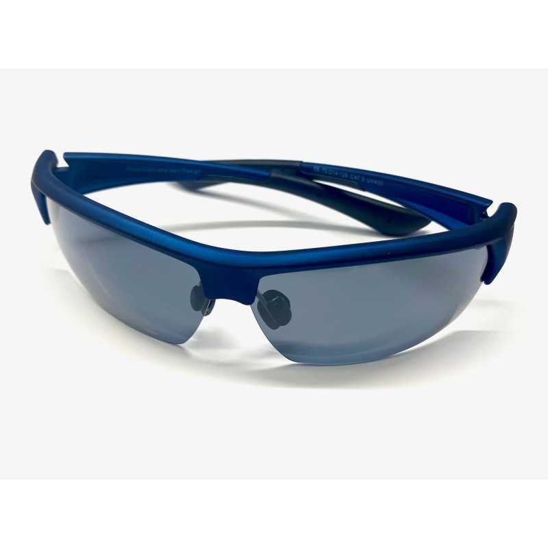 VISION POLARIZED glasses