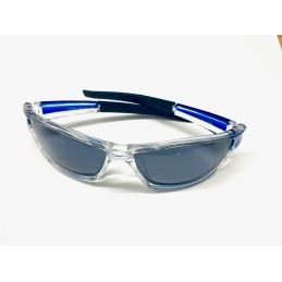 VISION POLARIZED glasses