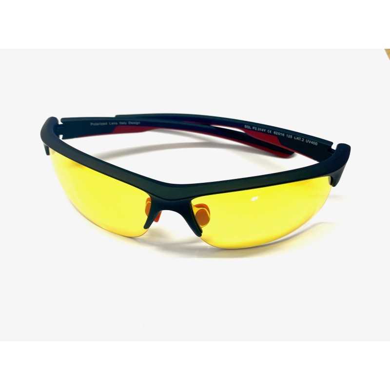 VISION POLARIZED glasses