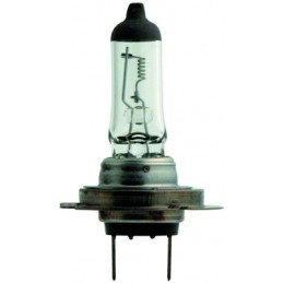 bulb H7 24V 70W PX26d HD